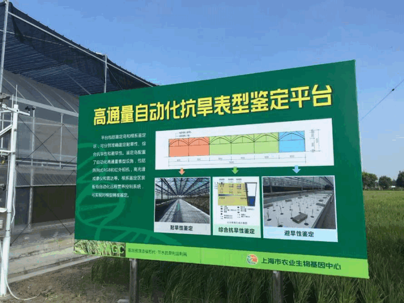 上海市農業生物基因中心高通量抗旱表型鑒定平臺