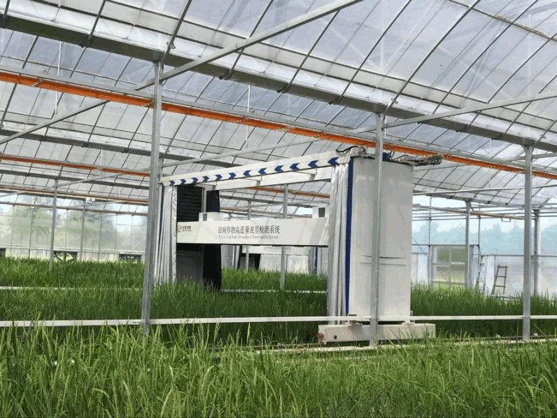上海市農業生物基因中心高通量抗旱表型鑒定平臺