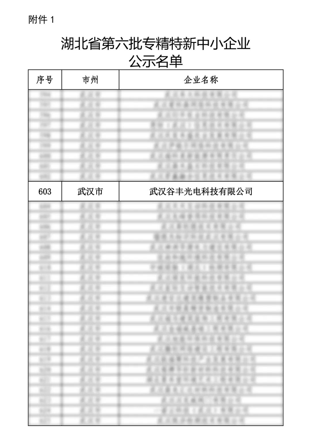 谷豐光電榮獲湖北省第六批專精特新中小企業認定！